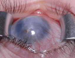 Screen Shot 2018-02-01 at 21.41.31