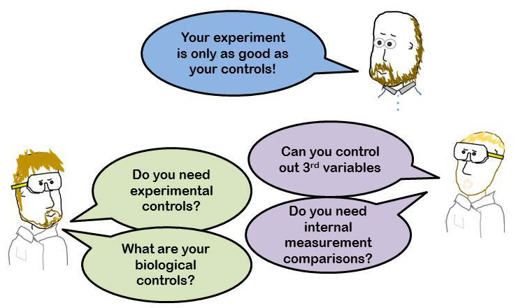 Experimental Design Controls Lants And Laminins