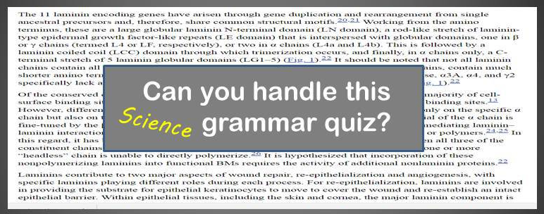 quiz phrases grammar science r