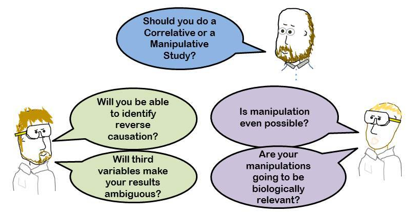 Experimental Design – Correlative or Manipulative – LaNts and Laminins