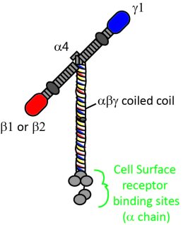 LM411