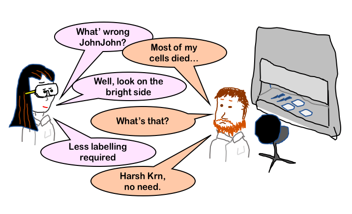 Screen Shot 2018-06-14 at 20.15.42