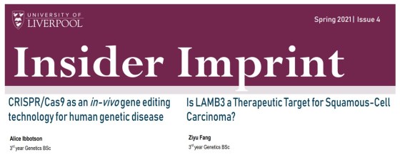 Picture of titles of two journal articles